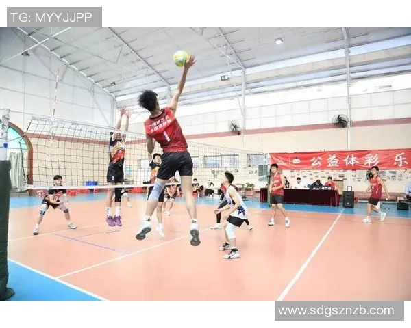 广州排球队在全国排球团队协作排行榜中荣获第四名的佳绩分析