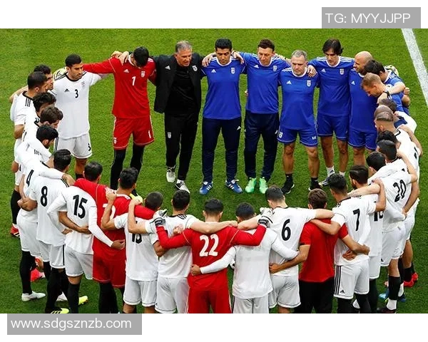 南京足球队的崛起之路：揭秘这支球队背后的力量与激情