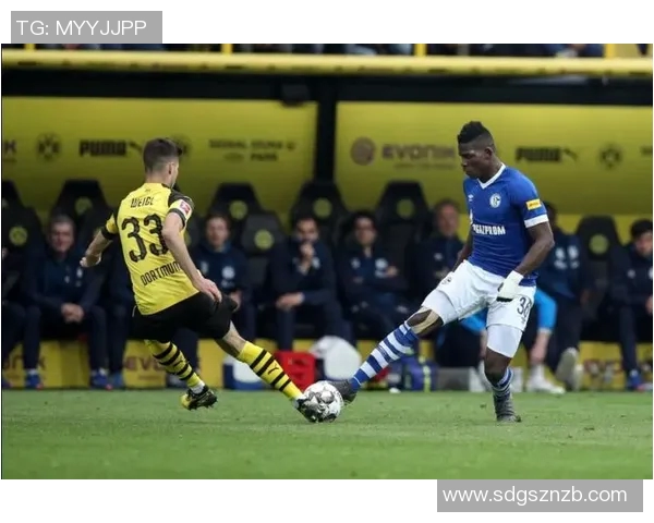 广州篮球队团队协作的成功之道与战术分析探讨 广州篮球队团队协作的成功之道与战术分析探讨