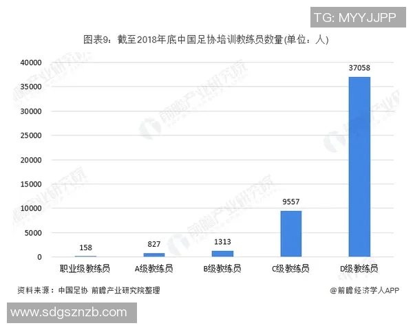 足球明星成长轨迹分析与未来发展趋势探讨
