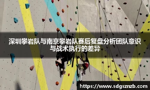 zoty中欧