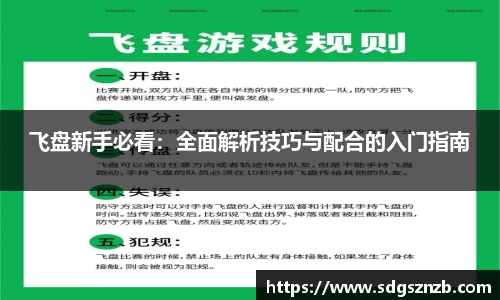 飞盘新手必看：全面解析技巧与配合的入门指南