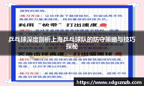 乒乓球深度剖析上海乒乓球队的防守策略与技巧探秘