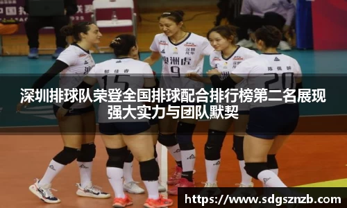 zoty中欧