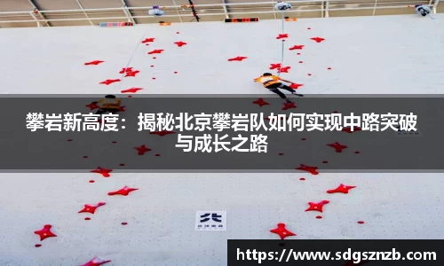攀岩新高度：揭秘北京攀岩队如何实现中路突破与成长之路