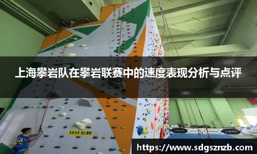 上海攀岩队在攀岩联赛中的速度表现分析与点评