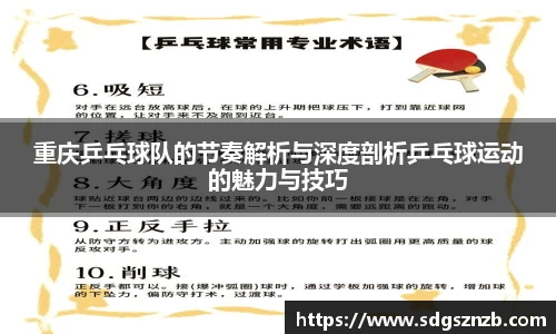 zoty中欧
