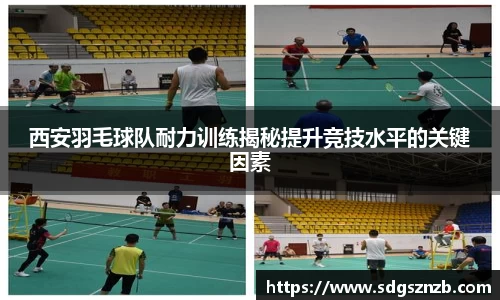 zoty中欧