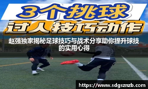 zoty中欧