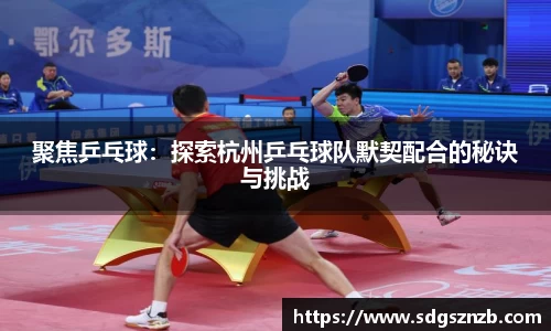 zoty中欧