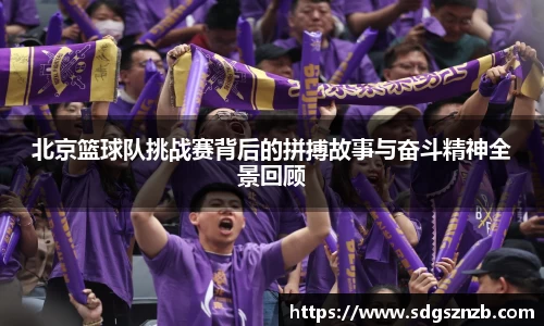 zoty中欧