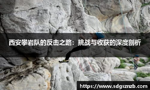 zoty中欧官方网站