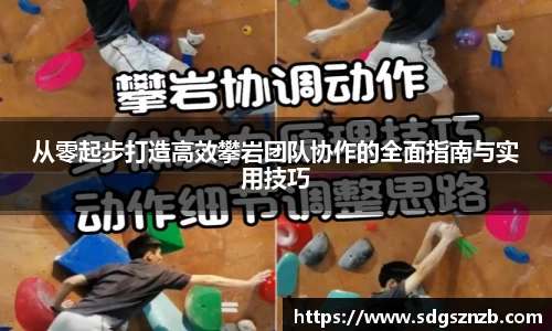 zoty中欧官方网站