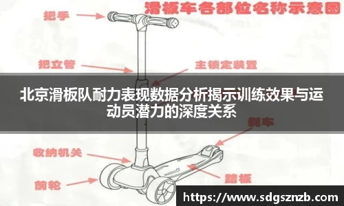 zoty中欧